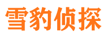 武城侦探调查公司